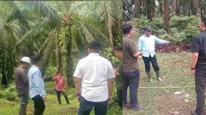 Manajemen PT Perkebunan Nusantara (PTPN) IV Regional IV Jambi-Sumbar tidak hanya berorientasi pada hasil produksi Kebun-kebun kelapa sawit