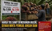 Harga TBS Sawit di Merangin Anjlok, Dewan Minta Pemkab Jangan Diam
