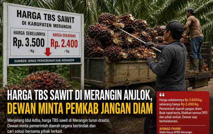 Harga TBS Sawit di Merangin Anjlok, Dewan Minta Pemkab Jangan Diam