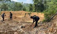 Pulihkan Lahan Bekas Illegal Minning, PT Jebus Maju Bersama Masyarakat Tanam 200 Bibit Trembesi