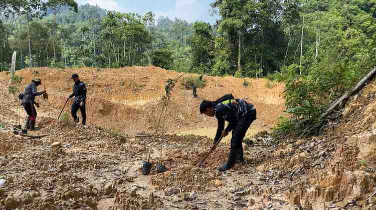 Pulihkan Lahan Bekas Illegal Minning, PT Jebus Maju Bersama Masyarakat Tanam 200 Bibit Trembesi