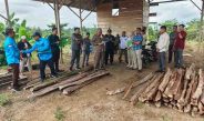Kasus serobot lahan di Sungai Ulak memasuki babak baru. Setelah digugat, kini Ahmad Fahmi balik gugat pihak lawan di PN Bangko yang turun, Rabu (29/7/2025)