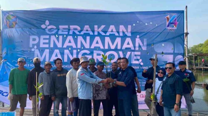 IWO menggelar aksi penanaman mangrove massal bertajuk “Penanaman Mangrove Bersama IWO 2026” hari ini, Jumat, 31 Juli 2026, di Hutan Mangrove Tanjung Pasir