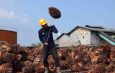 Catat Kinerja Positif, Produksi TBS PTPN IV Regional IV Tembus 244 Ribu Ton di Semester I 2026