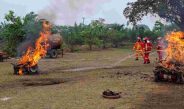 Simulasi penanggulangan karhutla PTPN IV Regional IV bersama Damkar Kabupaten Tebo di Kebun Rimbo Dua