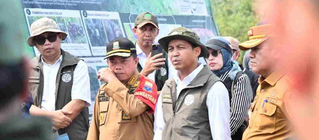 Al Haris dampingi Menhut Raja Juli Antoni tinjau konservasi gajah di Jambi