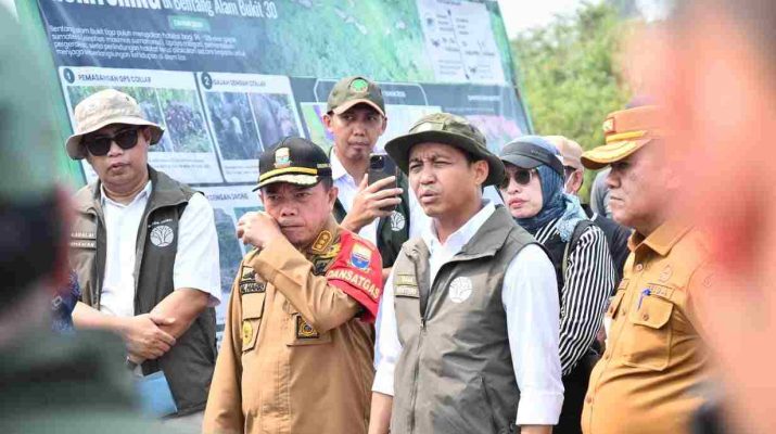 Al Haris dampingi Menhut Raja Juli Antoni tinjau konservasi gajah di Jambi