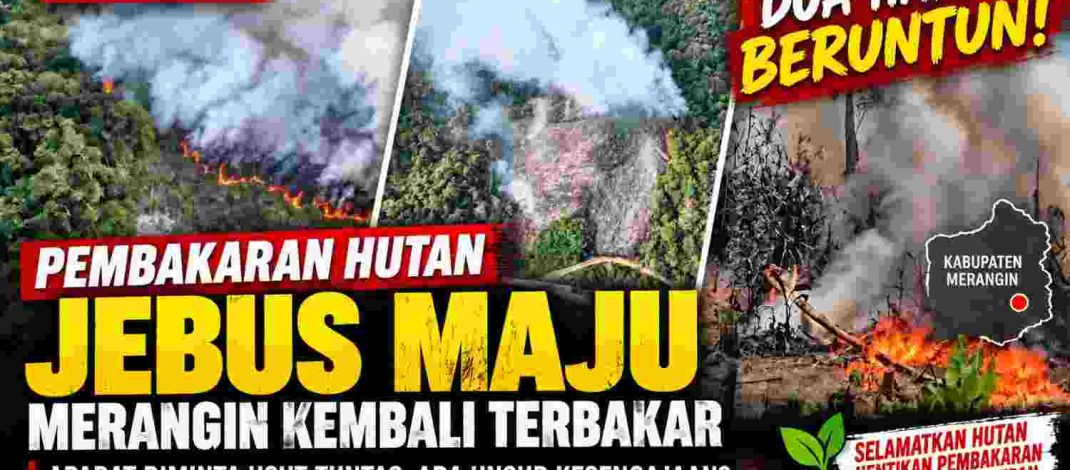 Kebakaran hutan di kawasan Jebus Maju Kabupaten Merangin terjadi di dua lokasi berbeda pada 14 dan 15 September 2026.