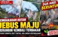 Pembakaran Hutan Beruntun di PT Jebus Maju, Aparat Diminta Bertindak