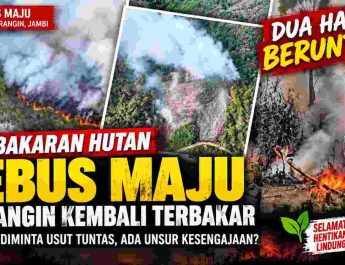 Kebakaran hutan di kawasan Jebus Maju Kabupaten Merangin terjadi di dua lokasi berbeda pada 14 dan 15 September 2026.