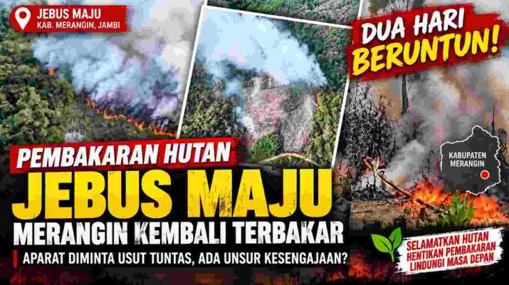 Kebakaran hutan di kawasan Jebus Maju Kabupaten Merangin terjadi di dua lokasi berbeda pada 14 dan 15 September 2026.