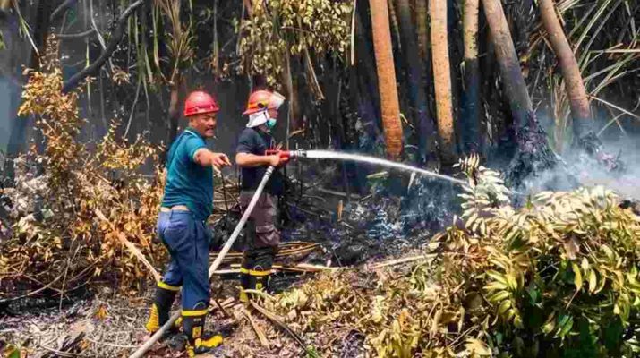 PTPN IV PalmCo memperkuat patroli dan deteksi dini untuk mengantisipasi kebakaran hutan dan lahan di wilayah operasional Sumatera dan Kalimantan.