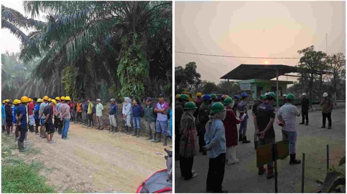 Kebun Bukit Kausar PTPN IV Regional IV mencatatkan kinerja produksi positif 2026. produksi secara YoY sampai dengan Agustus 2026 mencapai 113 persen