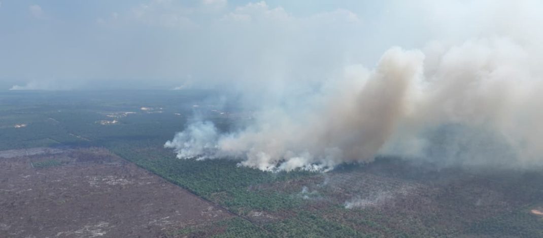 Asap kebakaran di kawasan Taman Nasional Berbak Sembilang TNBS