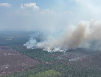 Asap kebakaran di kawasan Taman Nasional Berbak Sembilang TNBS