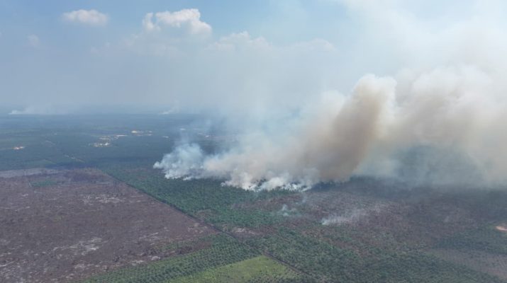 Asap kebakaran di kawasan Taman Nasional Berbak Sembilang TNBS