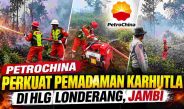PetroChina bersama tim gabungan memadamkan karhutla di HLG Londerang Jambi